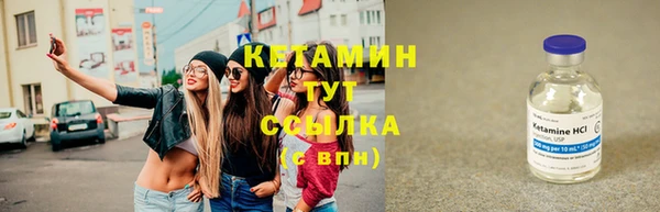 амф Каменка