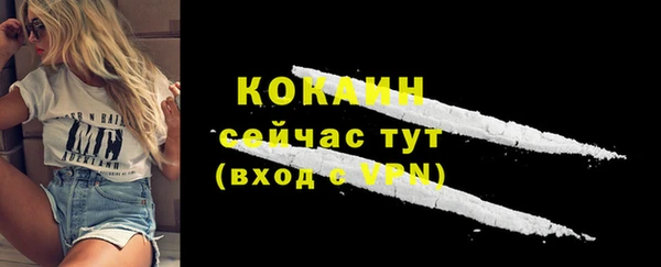 apvp Карпинск