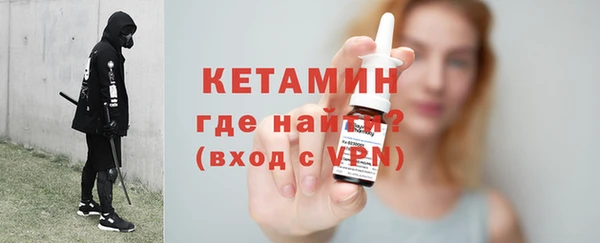 амф Каменка