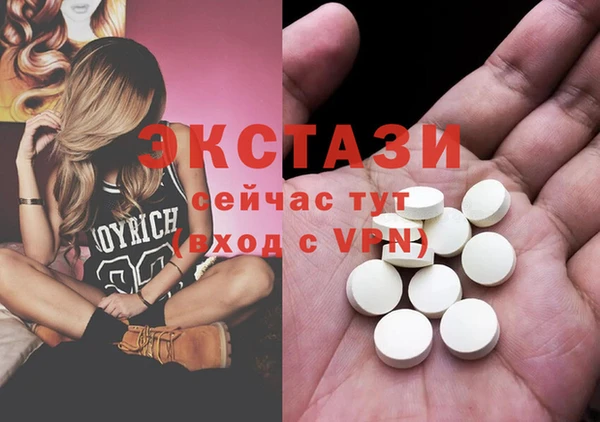 амф Каменка
