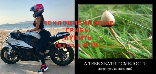 амф Каменка