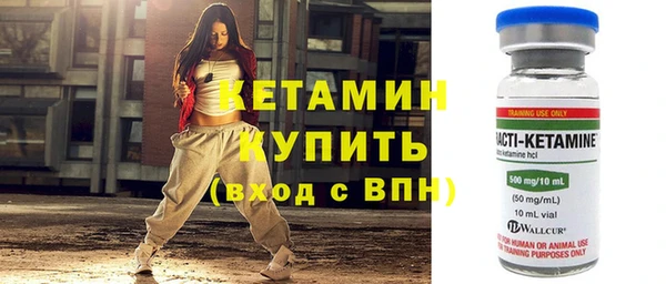 сатива Каменногорск