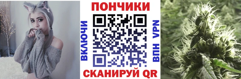 Купить  Ермолино  Шишки марихуана ГИДРОПОН 